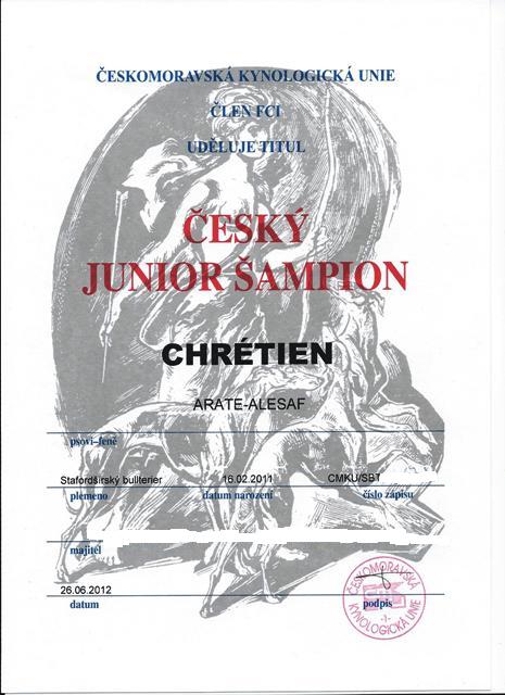 Český Junior Šampion