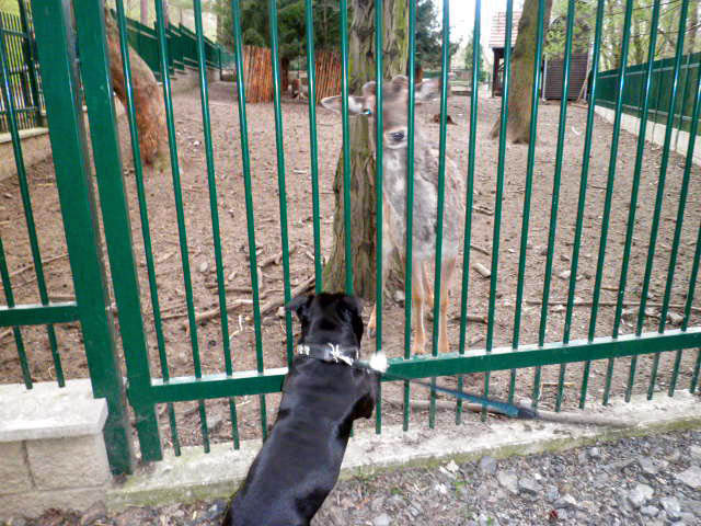 19-23.4.2012023_edited