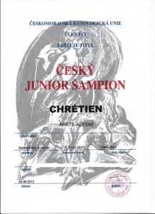 cesky-junior-sampion.jpg